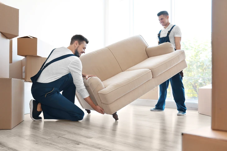 Intérieur d'appartement en cours de déménagement avec nombreux cartons d'emballage empilés, plantes vertes en pots, mobilier partiellement emballé et équipements de nettoyage