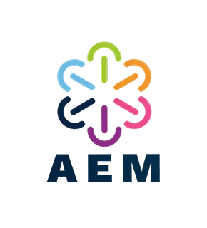 Logo de l'AEM 29 (Association des Artisans du Finistère) avec le texte "AEM 29" ou un badge certification carré ou circulaire aux couleurs professionnelles bleu/blanc/doré, présenté de manière claire sur fond neutre blanc ou gris clair.